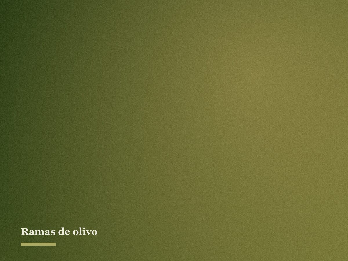 Olivar ecológico de Guatazales en la sierra de Bullas
